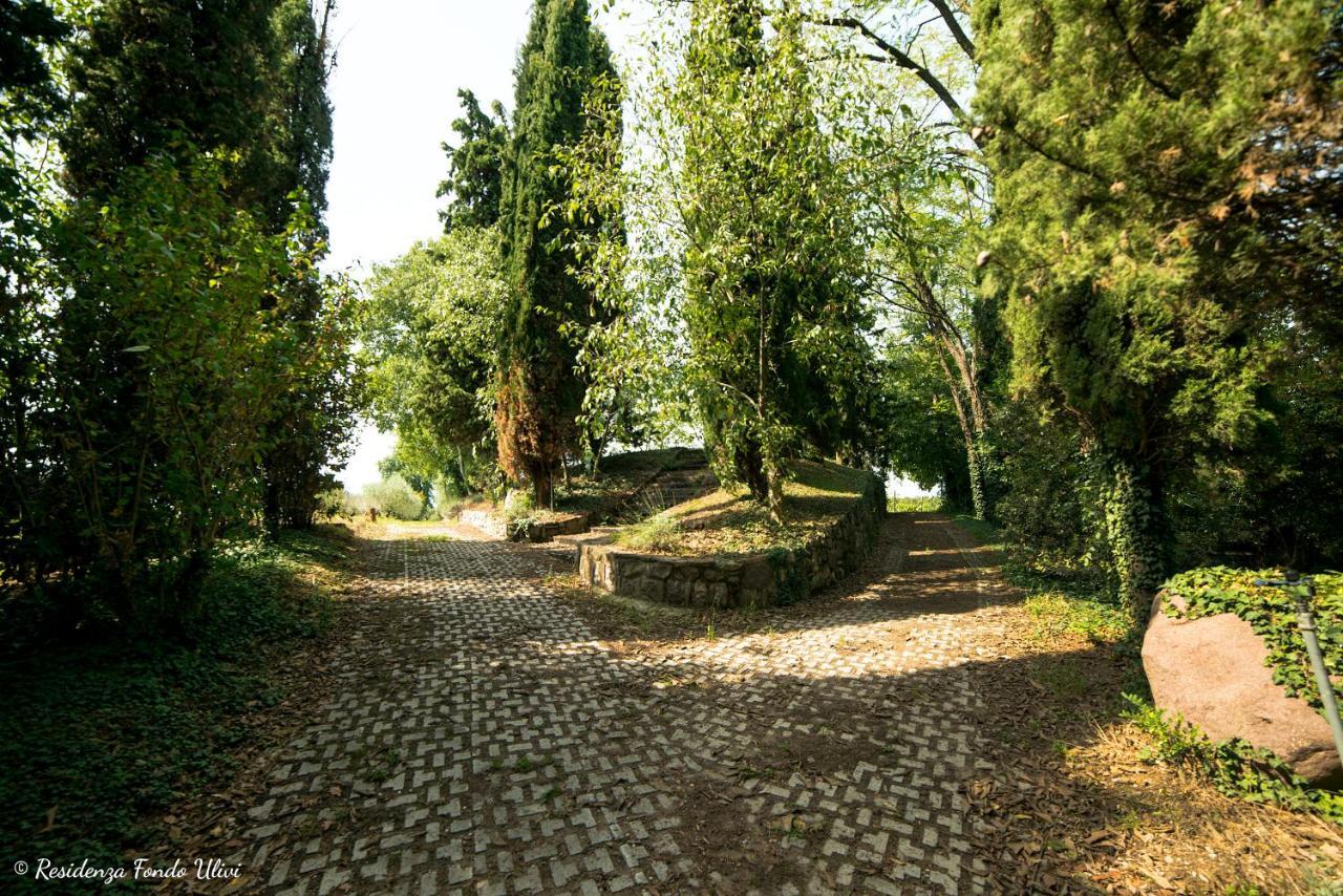 Residenza Fondo Ulivi Villa Ponti sul Mincio Exterior photo